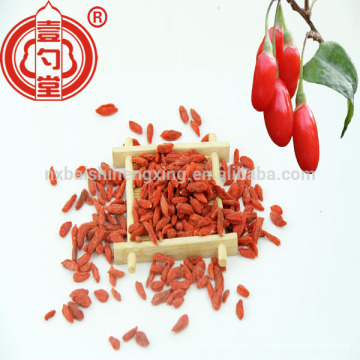 Gojiberry de fruit de goji de Barbarie pour dropshipping